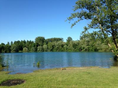 湖, 法国, 旅行, 自然, 树, 夏季, 蓝色