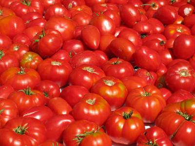 西红柿, 蔬菜, 食品, 红色, 作物, 健康, 植物