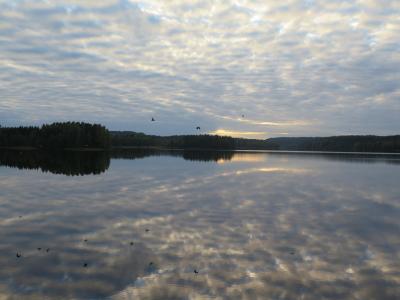 湖, 镜像, 晚上, 沉默, 自然, 芬兰, 景观