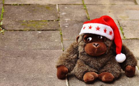 圣诞节, 圣诞老人的帽子, 毛绒玩具, 软玩具, 猴子, 大猩猩, 礼物