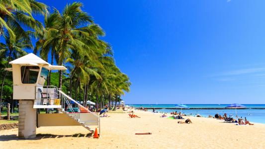 檀香山, 夏威夷, 海滩, 棕榈树, 救生员, 蓝蓝的天空, 沙子