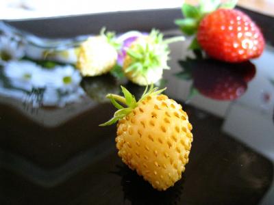 野草莓, 白色, 红色, 黑色, 板, 夏季, 浆果