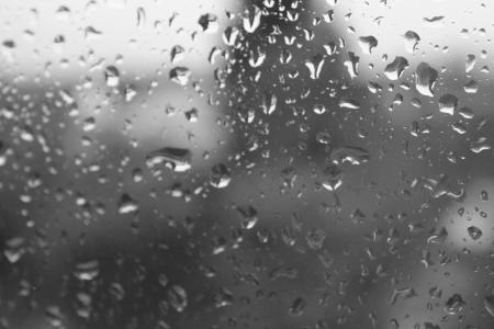 雨滴, 滴灌, 水, 湿法, 黑色和白色, 玻璃