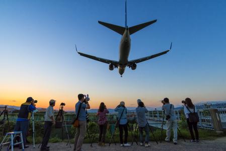 摄影师谁, 飞机, 在着陆期间, 大阪机场, 晚上, 千里河岸, 飞行