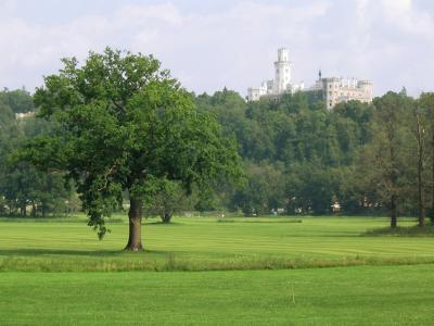 城堡, 树, 高尔夫球场, 绿色, hluboká, 捷克共和国, 自然