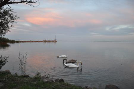 自然, 巴拉顿湖, 湖, 水