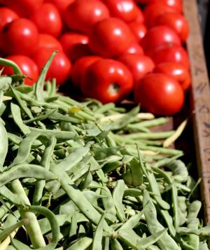 番茄, 绿色, 豆子, 食品, 蔬菜, 新鲜, 健康