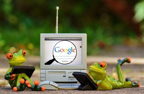 青蛙, 计算机, 谷歌, 搜索, 笔记本电脑, 有趣, 可爱
