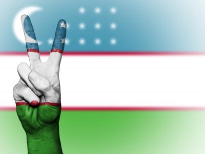 乌兹别克斯坦, 和平, 手, 国家, 背景, 旗帜, 颜色