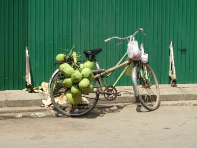 椰子, 自行车, 绿色, 街道