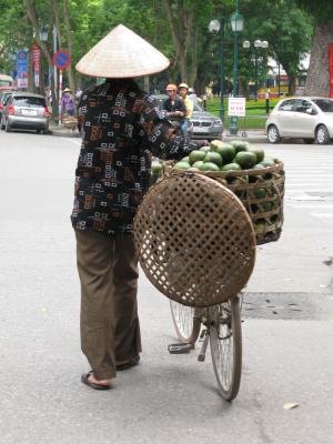 圆锥帽, 椰子, 越南, 自行车