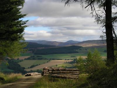 苏格兰, 景观, 山, 树木, 风景名胜, 高地