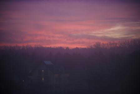 紫色, 粉色, 日落, 黄昏, 天空, 树木, 房子