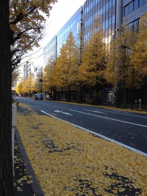 秋天的叶子, 秋天, 城市, 黄色, 街道, 城市场景, 树