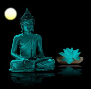 佛, 冥想, 弛豫, 冥想, 佛教, 健康, 内心的平静