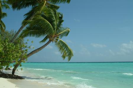 帕尔马, 马尔代夫, 海滩, 海, 热带气候, 自然, 夏季