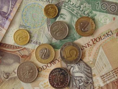 钱, 波兰语, 纸币, 硬币, 货币, 波兰
