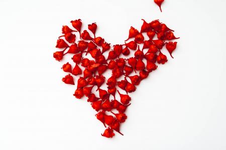 红色, 花, 花, 自然, 爱, 情人节那天, 祝贺
