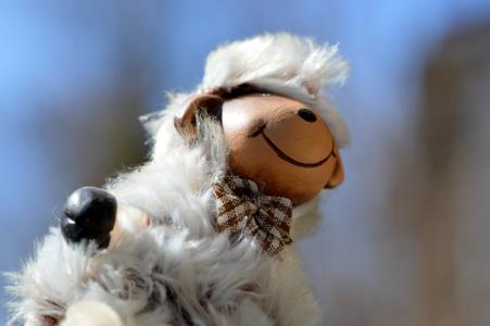 羊, 可爱, 有趣, 软玩具, 毛皮, 动物世界