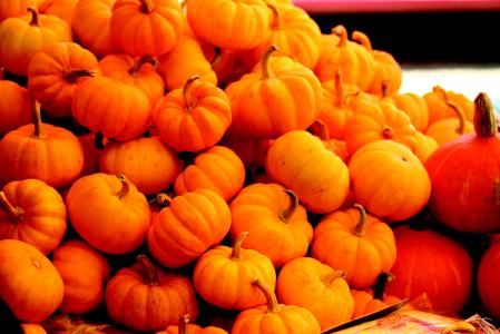南瓜, 蔬菜, 橙色, 感恩节, 万圣节, 10 月, 11 月