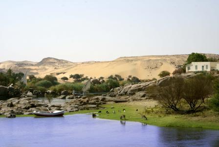 河, 尼罗河, 埃及, 阿斯旺, 沙漠, 景观, 自然