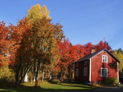 秋天, 颜色, 罗文, 小屋, 蓝色, 汉密尔, 自然