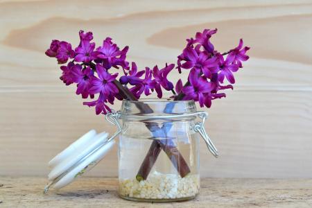 花, 风信子, 紫色, 罐子里, 装饰玻璃, 花瓶, 木材