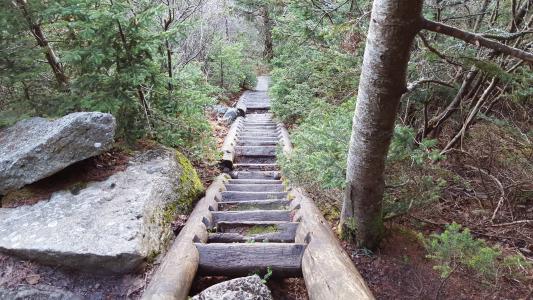 徒步旅行, 户外, 楼梯, 山, 楼梯, 自然, 行人路
