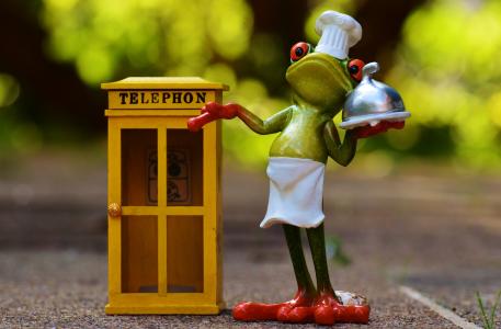 青蛙, 烹饪, 吃, 订单, 电话, pizzaexpress, 电话亭