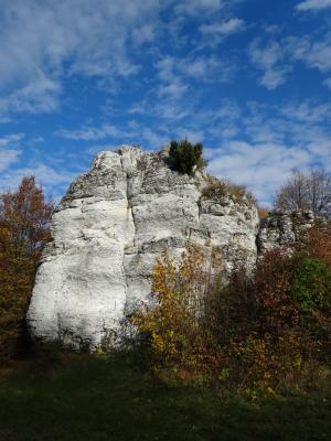 岩石, 自然, 景观, 秋天, 旅游, 树, 岩石-对象