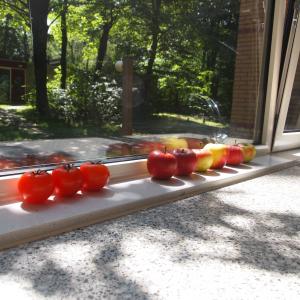 西红柿, 苹果, 窗台, 窗口, 夏季, 树木, 绿色