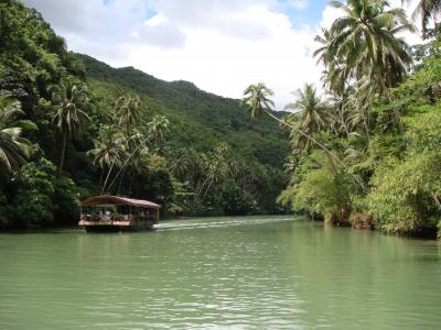 雨林, 薄荷岛, 菲律宾, 河, 小船, 棕榈树, 自然