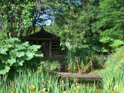 花园, 梦想, 绿色, 花园里的棚子, 池, 梁桥, 锈自行车