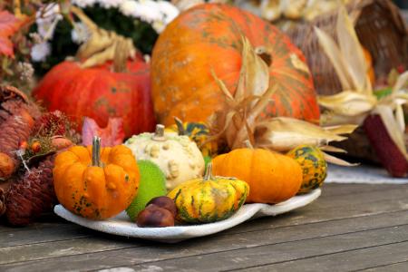 秋天, 风格咬, 装饰, 蔬菜, 收获, 秋季装修, 装饰南瓜