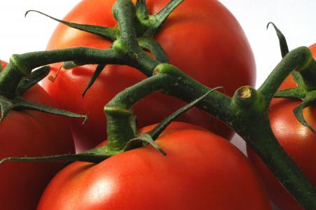 西红柿, 新鲜, 食品, 蔬菜, 营养, 自然, 原始