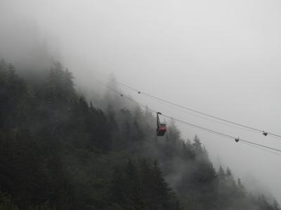 朱诺, 阿拉斯加, 吊船, 山, 树木, 雾, 雾