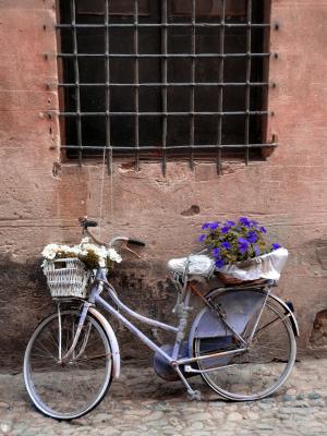 自行车, 花, 垃圾, 历史中心, finalborgo, 利古里亚, 老