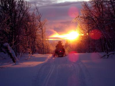 日落, 滑板车, 雪地车, 背光, 回家之旅, 日出, 冬天