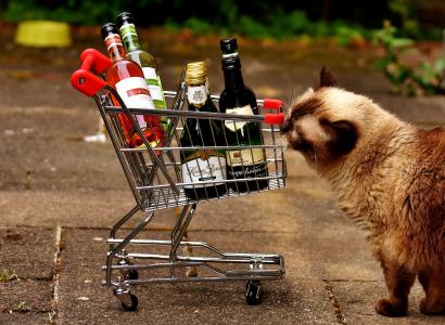 购物车, 葡萄酒瓶, 购物, 猫, 很好奇, 出售, 业务