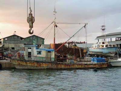 捕鱼, 拖网渔船, 端口, cienfugos, 古巴