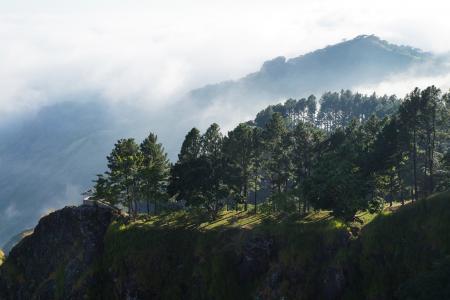萨尔瓦多, 皮条客山, 山脉, 多云, 小山, 雾, 树木