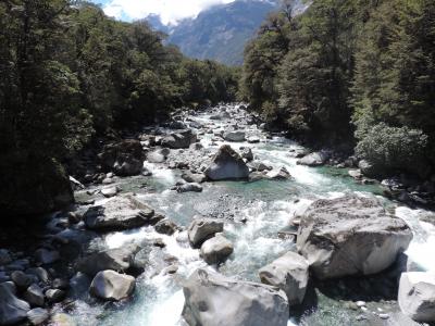 水, 河, 景观, 流利, 自然, 新西兰