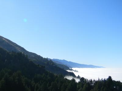 雾, 瞭望, 景区俯瞰, 树木, 天空, 森林, 山脉