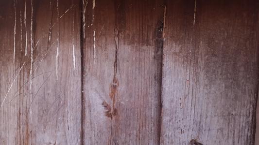 木材, 门, 粉色, 洪都拉斯, 纹理, 木材-材料, 背景