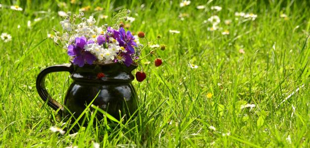 花草甸, 花束, 野花, 夏季, 多彩, 花瓶, 草