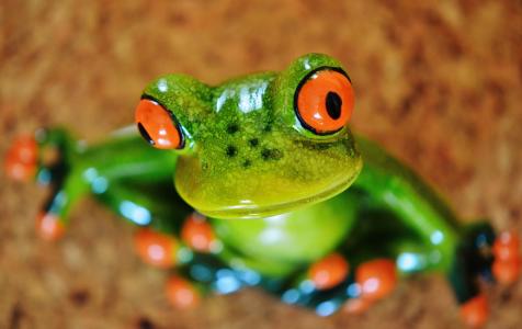 青蛙, 有趣, 图, 可爱, 陶瓷, 乐趣, 青蛙