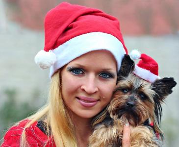 圣诞老人, 狗, 女人, 肖像, 约克夏犬, 圣诞节