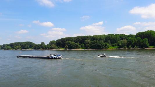 船舶, 莱茵河, 河, 航运, 德国, 水, 景观