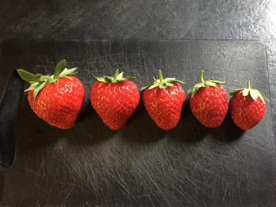 草莓, 浆果, 甜点, 仲夏, 草莓, 红色, 夏季