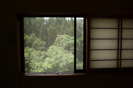 窗口, 自然, 树木, 绿色, 山, 伍兹, 森林